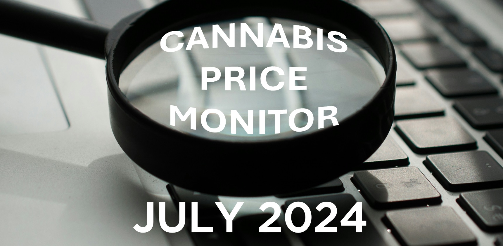 Cannabis Price Monitor - July 2024